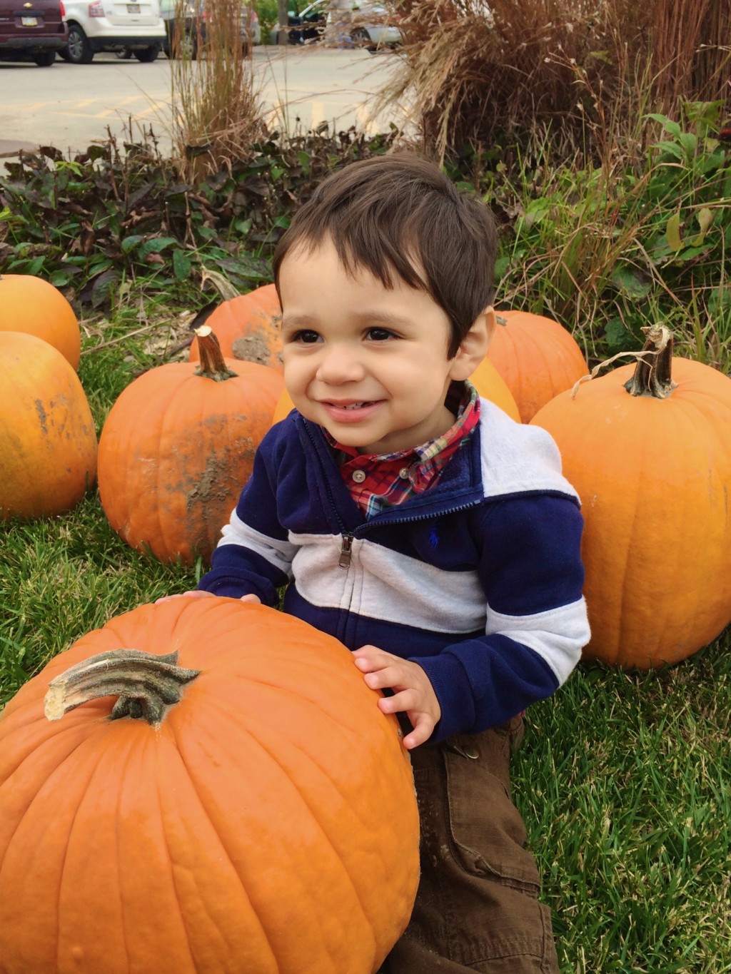 dinner-in-a-pumpkin-a-carved-tradition