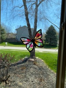butterfly craft