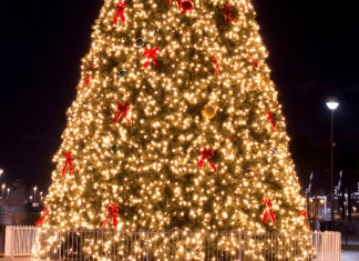 Christmas Tree Lighting Ceremonies Omaha