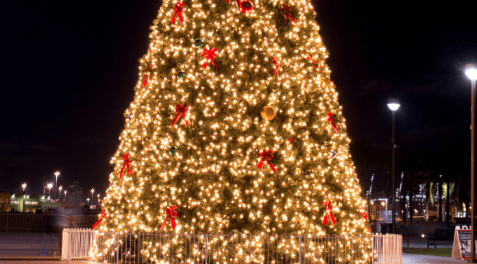 Christmas Tree Lighting Ceremonies Omaha
