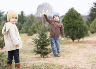 Christmas tree farms and nurseries in Omaha