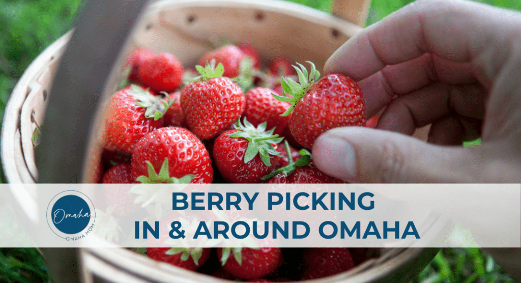 berry picking in omaha