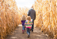 Omaha Fall Farm Corn Mazes